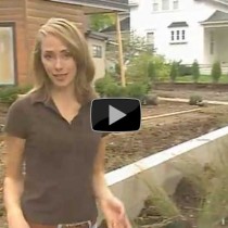 Terravista Design featured on HGTV