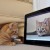 Cat iPad Video